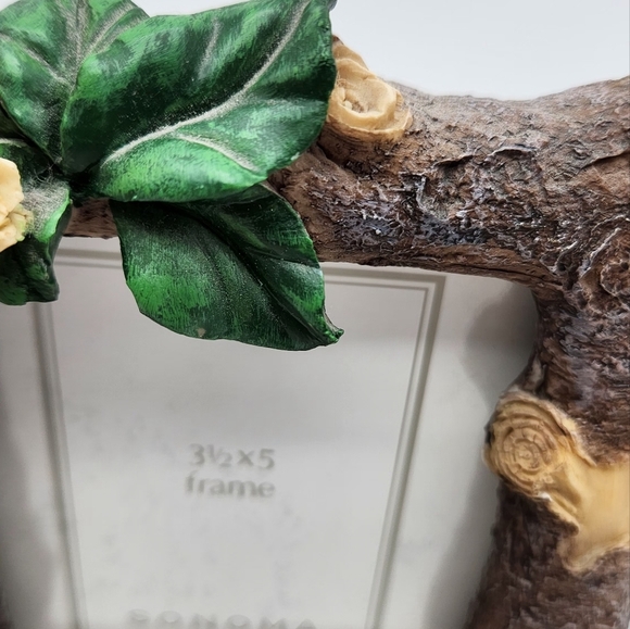 Sonoma Tropical Parrot Picture Frame 4.5x6 outer handpainted stoneware. 3.5 x5 - Picture 4 of 8